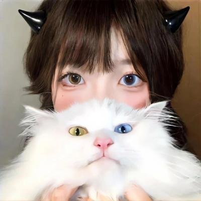 白山新歌